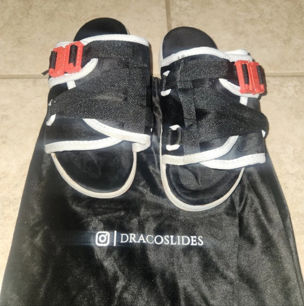 DRACO Slides BRED